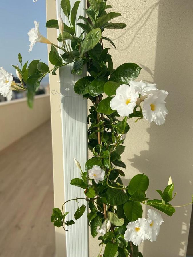 Rossini Penthouse Apartment Cagliari Bagian luar foto