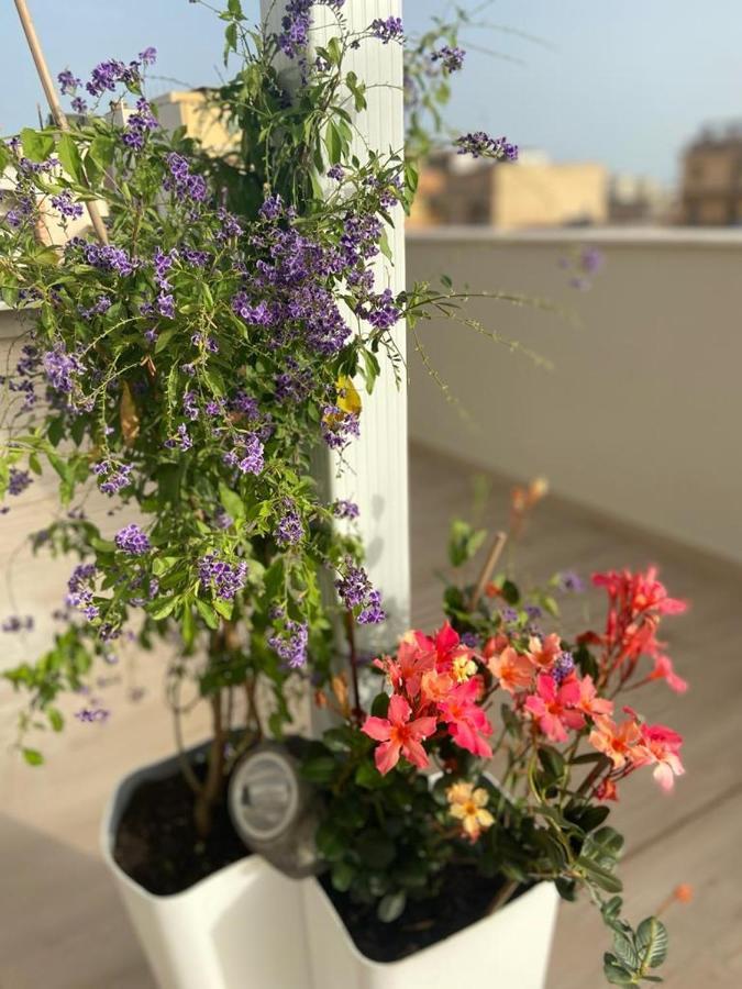 Rossini Penthouse Apartment Cagliari Bagian luar foto